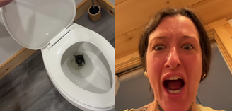 Mulher se assusta com morcego dentro da privada da sua casa