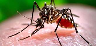 <p>Até agora foram confirmadas duas mortes em 2015, decorrentes da dengue, em São Paulo</p>
