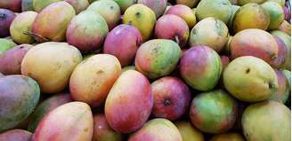 A manga brasileira será um dos produtos mais afetados pela taxação dos EUA