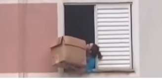 Mulher salvou cachorro com caixa de papelão