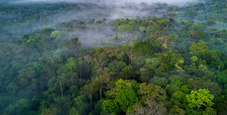 Mercado de crédito de carbono pode ser benéfico financeiramente para o Brasil