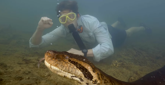 Cientista e apresentador de televisão holandês, Freek Vonk esteve na Amazônia e junto com outros pesquisadores descobriu o que afirma ser uma nova espécie de sucuri.