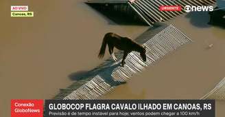 Cavalo ilhado se equilibra em telhado no RS