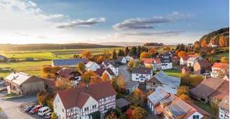 Você sabia? Morar em áreas arborizadas pode reduzir chances de AVC