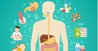 Guia completo: tudo o que você precisa saber sobre metabolismo