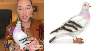 Influenciadora viraliza ao comprar bolsa de pombo de R$ 4 mil: "Comprou o Richarlison"