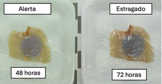 Embalagem muda de cor para mostrar se peixe está bom ou não para consumo
