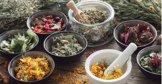 Foto: Reprodução/Shutterstock