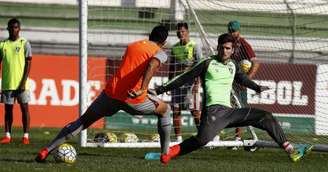 Júlio César terá mais uma chance defendendo o gol do Fluminense (Foto: Nelson Perez/Fluminense F.C.)