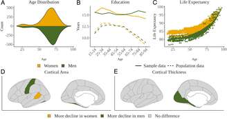 Imagem com alguns dados levantados na pesquisa, com base nos participantes avaliados. Legendas: (A) Distribuição etária, (B) educação e (C) expectativa de vida por sexo. Diferenças de sexo na (D) espessura cortical (TC) e (E) área de superfície (SA) (esta última corrigida em tamanho de cabeça). 