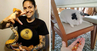 Débora Podda é pet sitter especializada em gatos, mas também já atendeu bichos como cobra e coelho