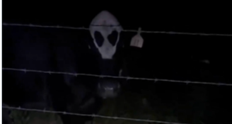 Vaca alienígena é filmada