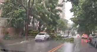 Chuva causa alagamentos e queda de árvores em regiões de SP