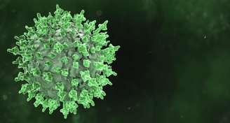 Surto do vírus Nipah na Índia causa preocupação mundial