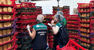 Fábrica de pães é interditada em Fortaleza
