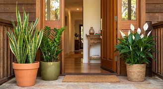 Imagem mostra porta de casa cercada de plantas do Feng Shui