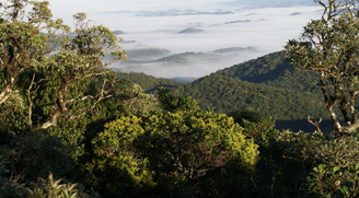 Parque Estadual da Serra do Mar, Santa Virgínia