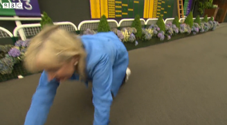 Repórter é arrastada por cachorro durante transmissão ao vivo; vídeo