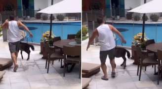 Leonardo chutando pônei