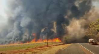 Seis pessoas já foram presas em decorrências dos incêndios em São Paulo; queimadas ganharam força na sexta-feira, 23