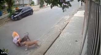 Grávida cai ao proteger cão de ataque em SP