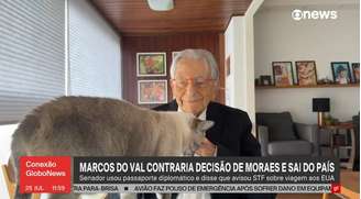 Gata de Fernando Gabeira invade transmissão da GloboNews
