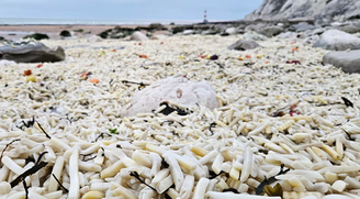 Batatas fritas congeladas mudaram a vista de uma praia na cidade turística de Eastbourne, sudeste da Inglaterra