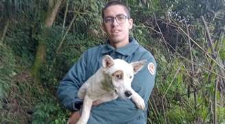 Após quatro dias preso em penhasco, cachorro é resgatado em SC