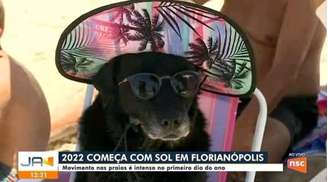 Laika Fidelis, que é da raça labrador, roubou a cena durante reportagem em praia de Santa Catarina  