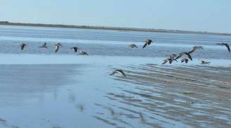 Além da beleza natural, a região da Lagoa do Peixe cumpre funções ecológicas essenciais para o equilíbrio ambiental gaúcho