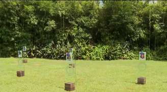 Desenvolvido pela Bioparque em São Paulo, o memorial organiza documentos, figurinos e registros sobre os Mamonas Assassinas – Reprodução