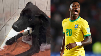 Vini Jr. e Vini Jr.