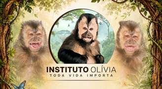 Instituto Olívia: um sonho de acolhimento para animais silvestres