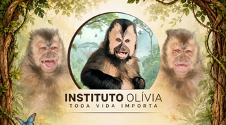 Instituto Olivia