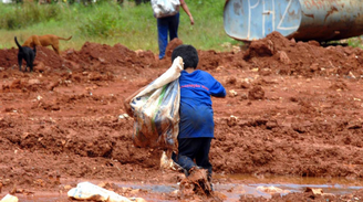 A Pnad mostra que há uma diferença na proporção do tipo de trabalho desenvolvido pelas crianças e adolescentes cujas famílias recebem Bolsa Família
