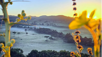 Geada e temperaturas baixas marcam amanhecer em SC