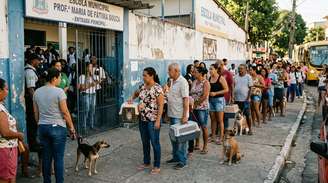 Ribeirão Preto faz mutirão presencial para castração de pets; veja calendário