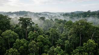 Imagem gerada por Inteligência Artificial, que não tem o objetivo de refletir ou retratar situações reais.