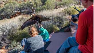 Águia teria levantado menino do chão, segundo relatos 