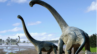 Savannasaurus: um novo espécime de dinossauro