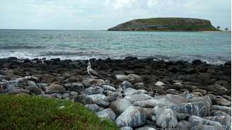 Abrolhos