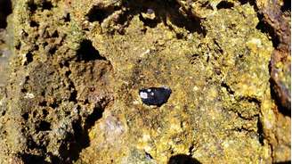 Fragmento de óleo foi encontrado na praia norte da Ilha de Santa Bárbara