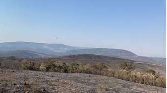 Incêndio iniciado no domingo já destruiu 65% da extensão do Parque do Juquery, o equivalente a cerca de 1.200 hectares.