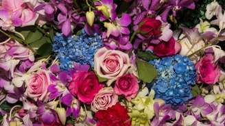 Conheça o significado, o poder que as flores carregam e a influência que elas exercem - Shutterstock