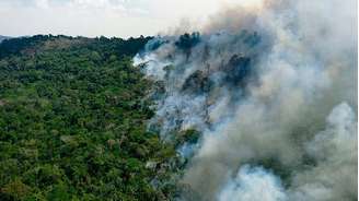 Preservar a Amazônia é uma questão de saúde pública, defendem cientistas