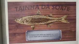 "Esfregue sua mão na tainha da sorte. Você pode ser o próximo milionário", diz a placa.