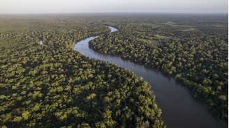 Floresta amazônica