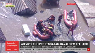 Cavalo flagrado ilhado em telhado de casa no RS é resgatado por bombeiros