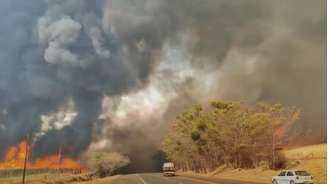 Fumaça de incêndios no interior paulista atingem festival de música em Altinópolis, região de Ribeirão Preto (foto).