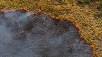 Incêndios florestais têm contribuído para piora da qualidade do ar